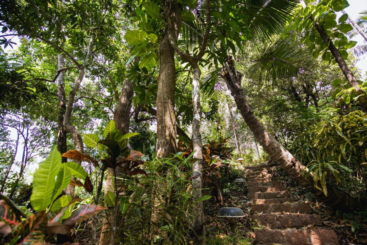 Casa Susegad Hotel Madgaon Bagian luar foto