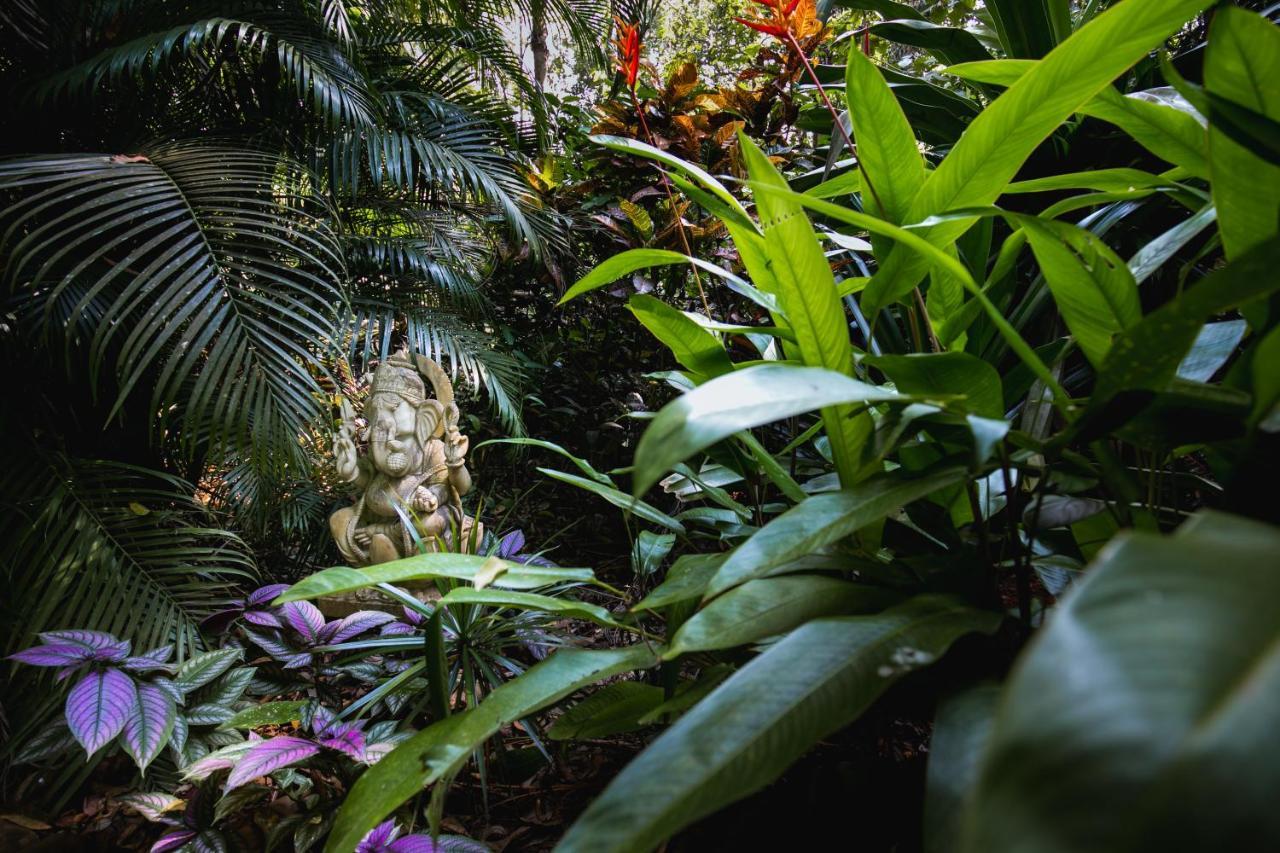 Casa Susegad Hotel Madgaon Bagian luar foto