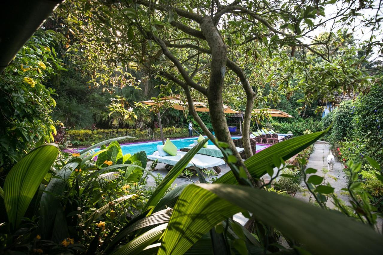 Casa Susegad Hotel Madgaon Bagian luar foto